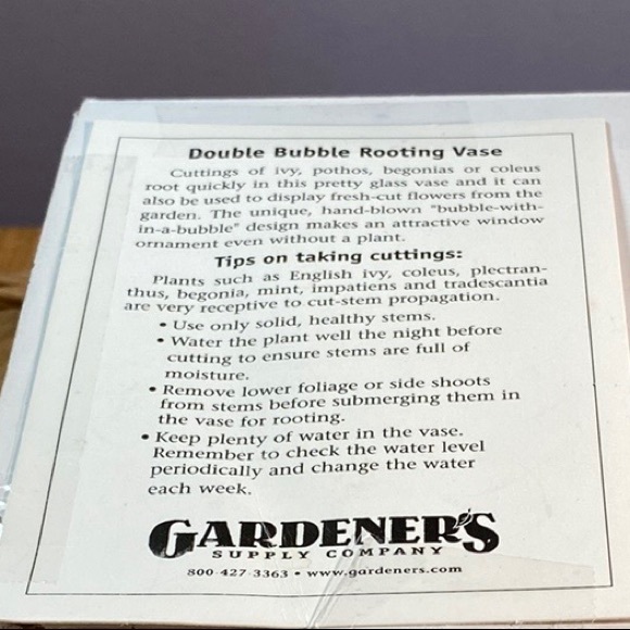 Double Bubble Rooting Vase - Picture 7 of 8